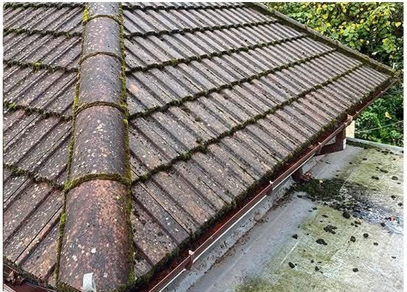 The same tiled roof before cleaning, covered in moss and organic growth